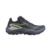 Picture of SALOMON GENESIS W